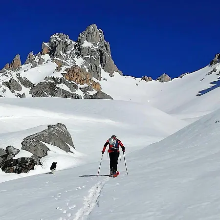 Picos De Europa