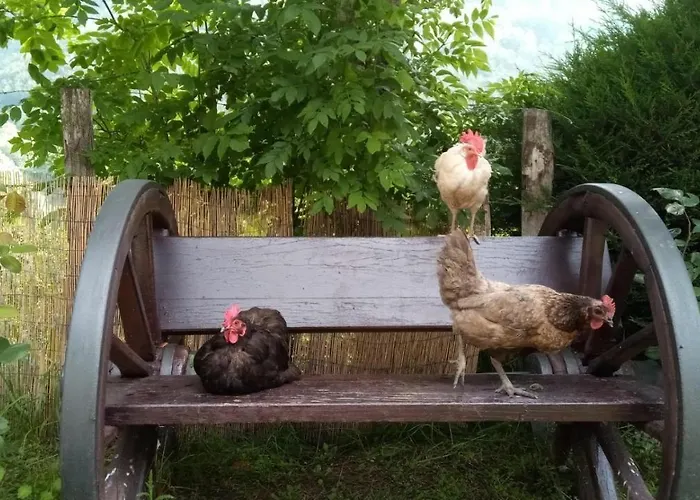 Apartment Picos De Europa
